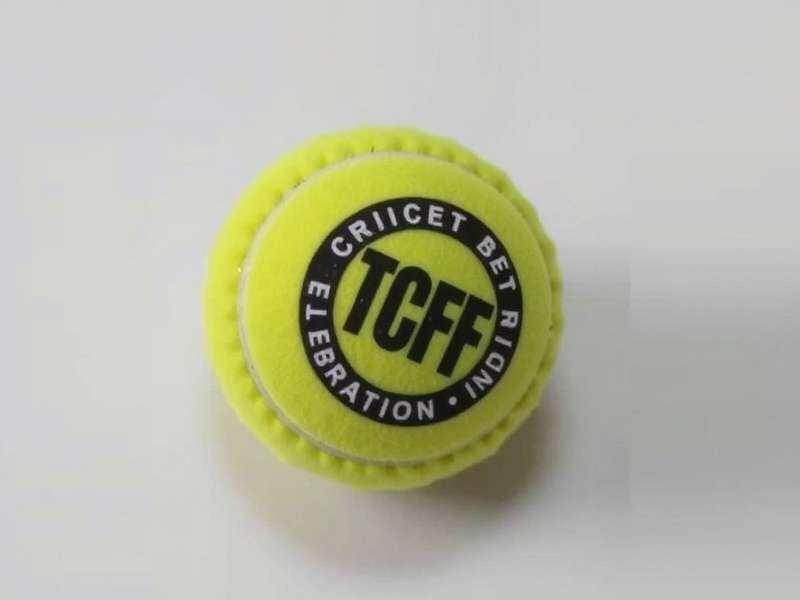 Inter Corporate Tennis Ball Cricket League